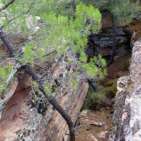 Barranco de la Hoz, Guadalajara