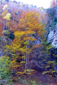 Parque Nacional de Ordesa, Aragón
