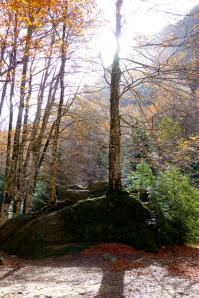 Parque Nacional de Ordesa, Aragón
