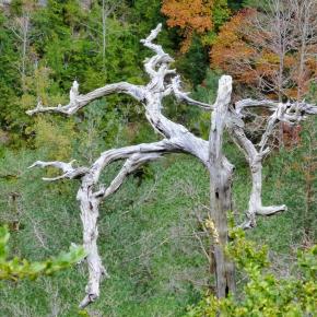 Parque Nacional de Ordesa, Aragón