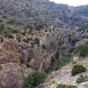 Estrechos Rio Martin-019