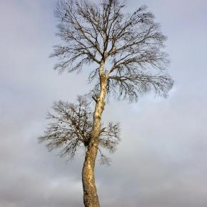 Estrechos Rio Martin-051