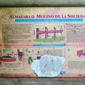 Estrechos Rio Martin-058