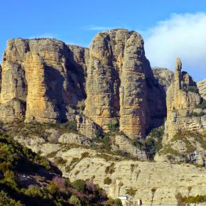 Vadiello-Huevo San Cosme-008