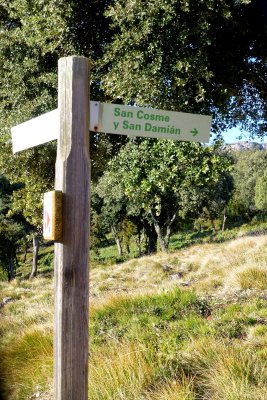 Vadiello-Huevo San Cosme-016