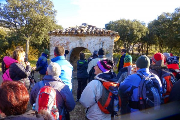 Vadiello-Huevo San Cosme-017