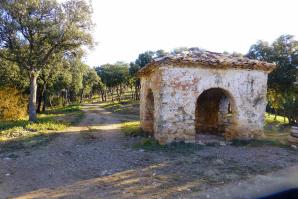 Vadiello-Huevo San Cosme-018