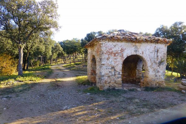 Vadiello-Huevo San Cosme-018