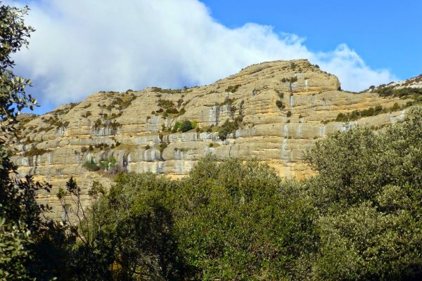 Vadiello-Huevo San Cosme-019