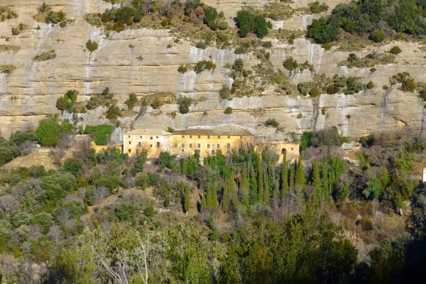 Vadiello-Huevo San Cosme-020