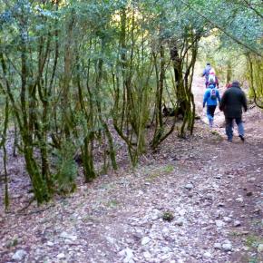 Vadiello-Huevo San Cosme-022