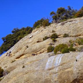 Vadiello-Huevo San Cosme-024