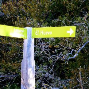 Vadiello-Huevo San Cosme-025