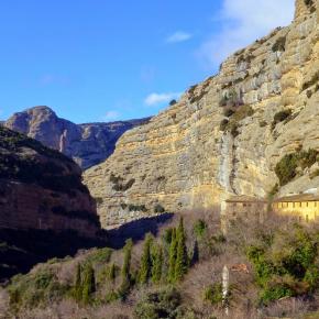 Vadiello-Huevo San Cosme-026