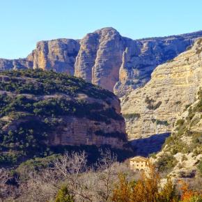 Vadiello-Huevo San Cosme-030