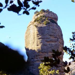 Vadiello-Huevo San Cosme-031