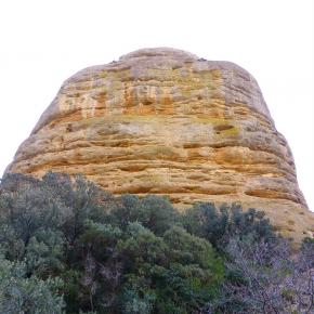 Vadiello-Huevo San Cosme-032