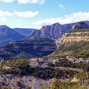 Vadiello-Huevo San Cosme-038