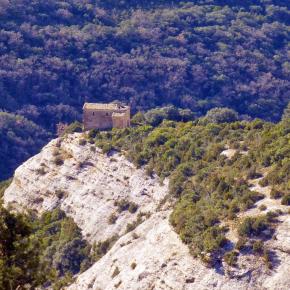 Vadiello-Huevo San Cosme-039