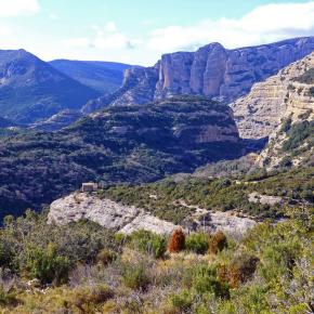 Vadiello-Huevo San Cosme-040