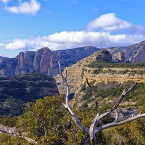 Vadiello-Huevo San Cosme-041