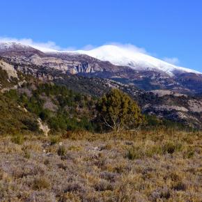 Vadiello-Huevo San Cosme-042