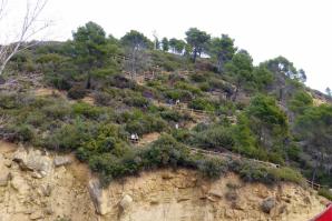 Río Gállego a su paso por Murillo y Riglos, Huesca