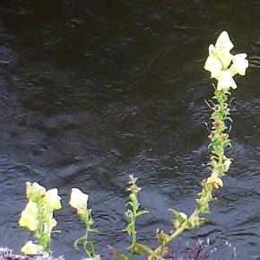 XI Jornadas Senderistas-Burgos-014