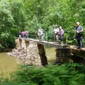 Cañones del Ebro, Burgos