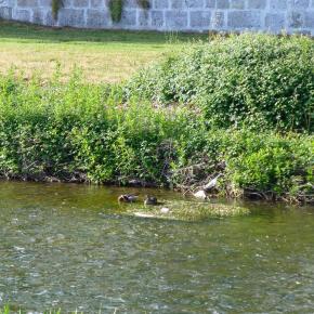 XI Jornadas Senderistas-Burgos-067