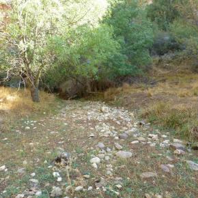 Hoces-r-o-Piedra-22-