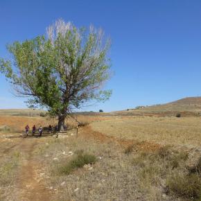 Hoces-r-o-Piedra-31-