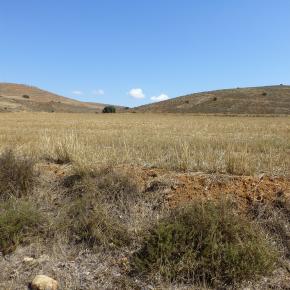 Hoces-r-o-Piedra-32-