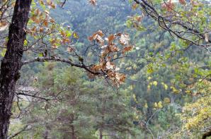 Fanlo-Sarvise-023