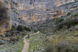 Jaraba-014_1482255961