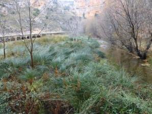 Jaraba-Calmarza-1-