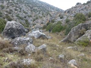 Jaraba-Calmarza-23-