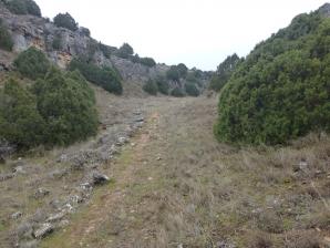 Jaraba-Calmarza-26-