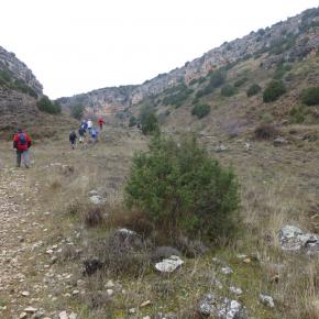 Jaraba-Calmarza-24-