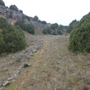 Jaraba-Calmarza-26-