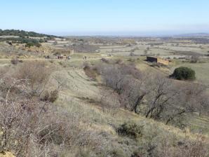LOSCOS-14-