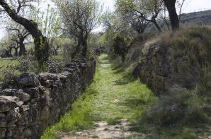 20170318-de-Ag-ero-a-Sta.-Eulalia