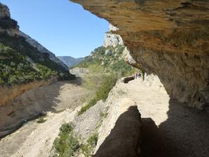 L-sera-Belsue-41-