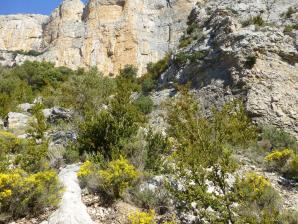 L-sera-Belsue-42-