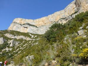 L-sera-Belsue-43-