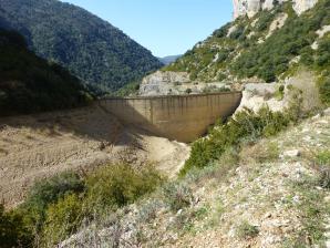 L-sera-Belsue-44-
