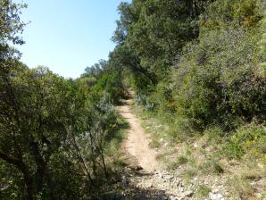 L-sera-Belsue-49-