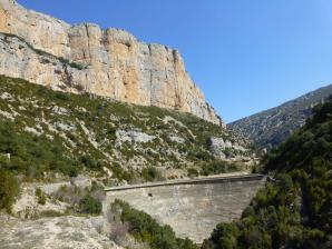 L-sera-Belsue-51-