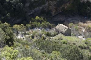 belsue-010