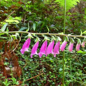 XII Jornadas-Pamplona-005